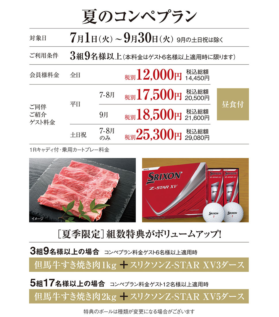 夏のコンペプラン